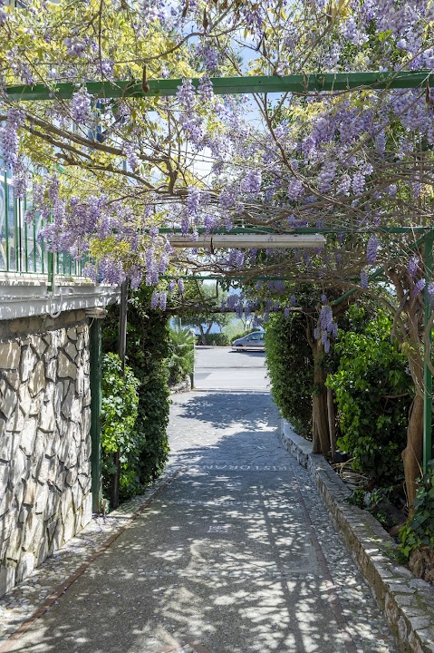 Villaggio Camping Nettuno