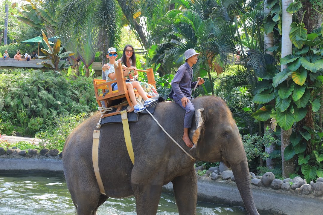 Bali Zoo — Bali experience