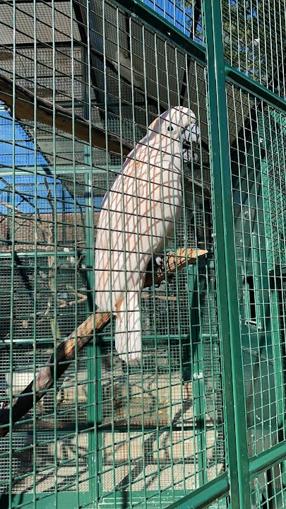 Bioparc Genève