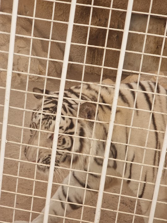 Doha Zoo