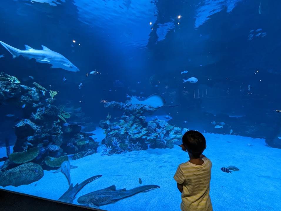 Aquaria Phuket