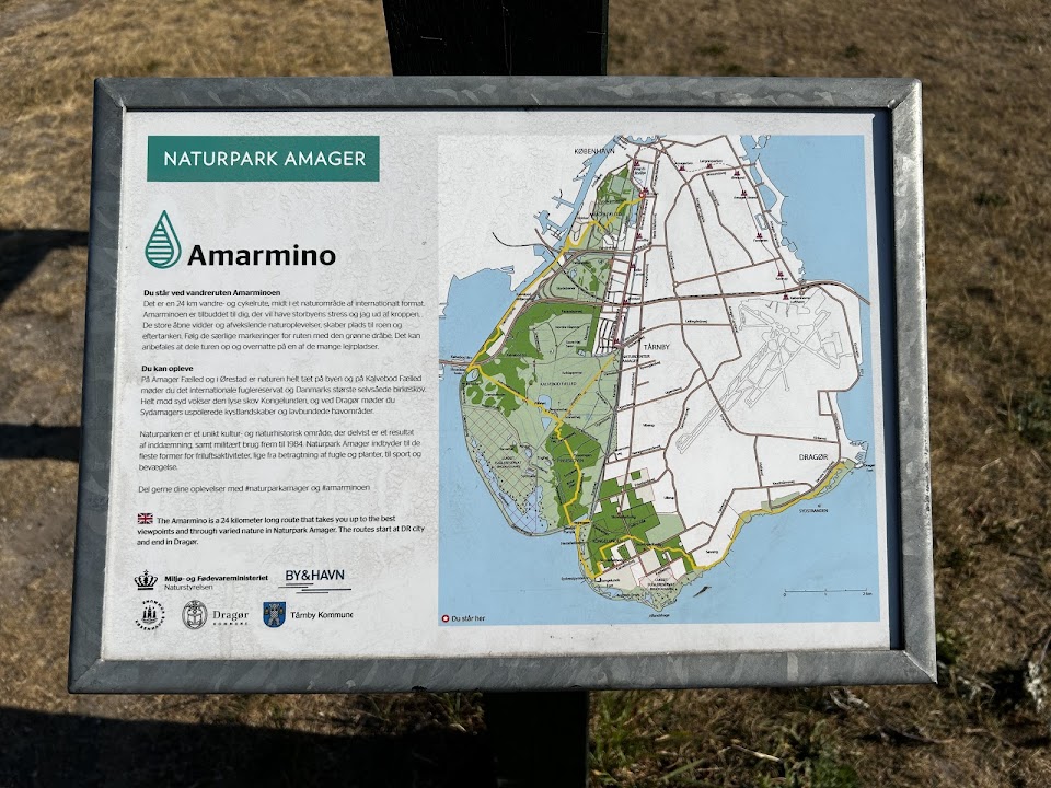 Amarminoen