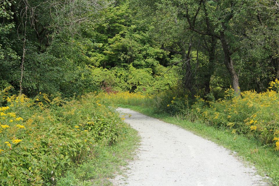 Boyd Conservation Park