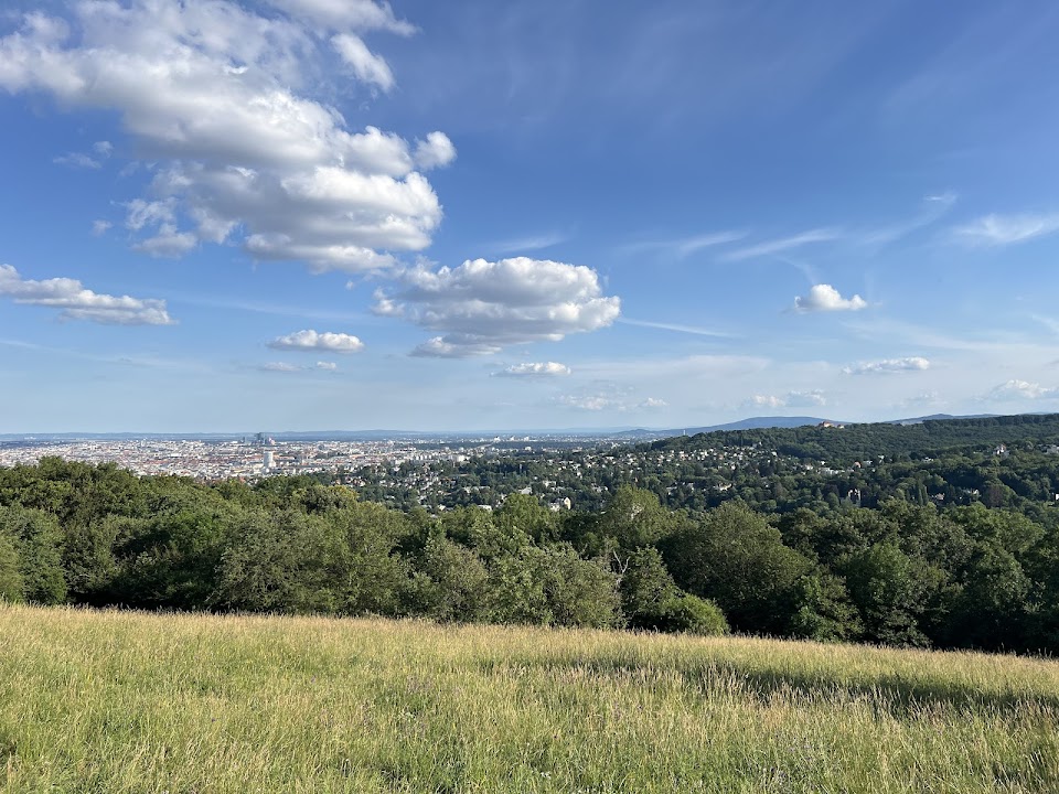 Schafbergwiese