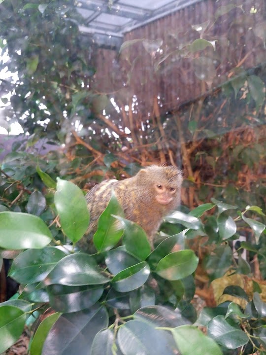 Tallinn Zoo Tropical House