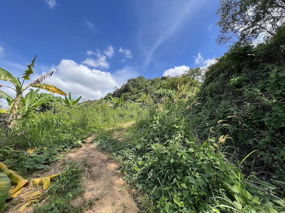 Big Buddha Hiking Trail