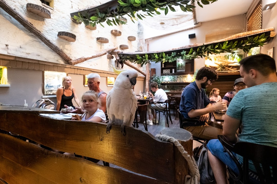 Zoo Café