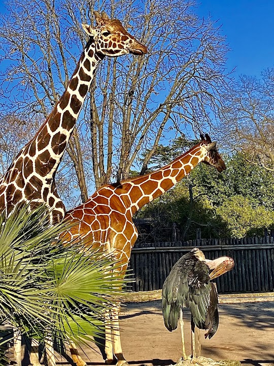 Bioparco di Roma