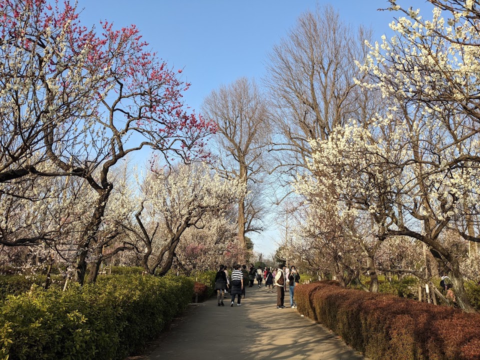 Hanegi Park