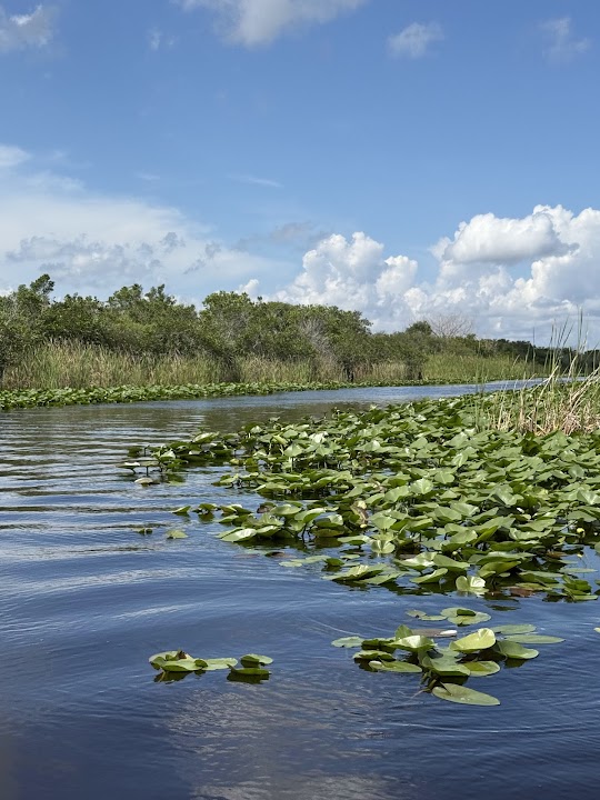 Everglades national Park Tours