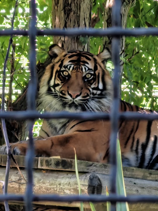 Naples Zoo