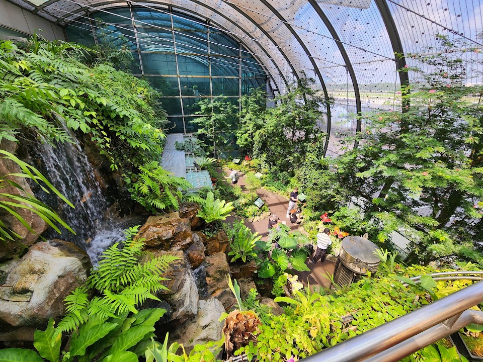 Butterfly Garden
