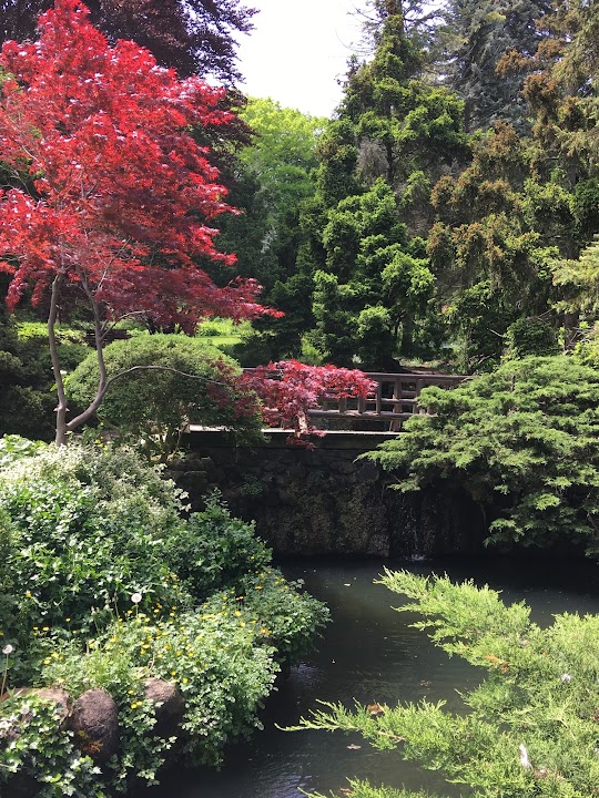 James Gardens