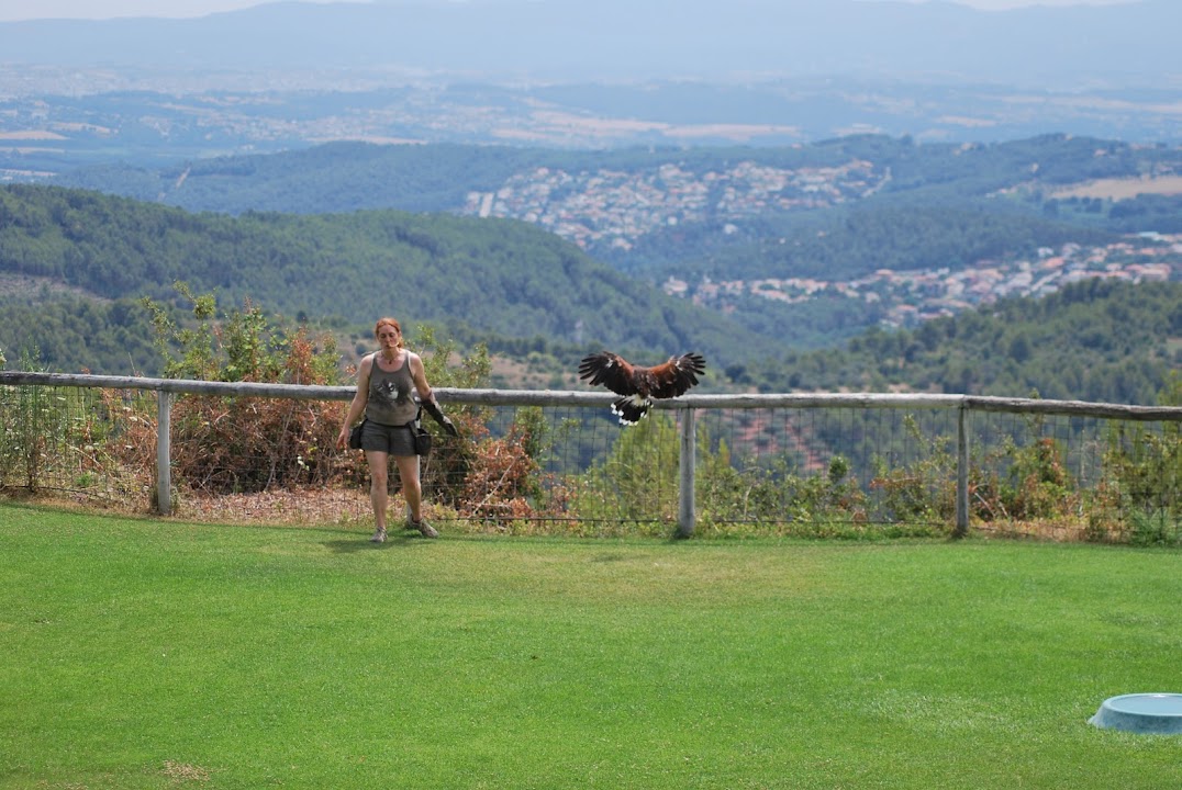 Eagles Summit - Cim d’Àligues