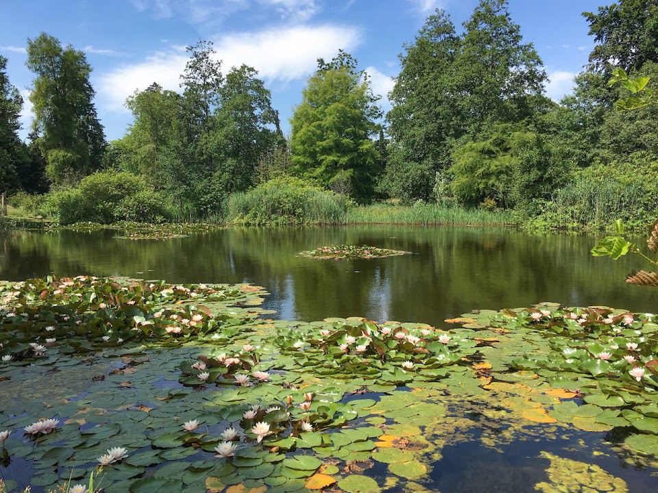 Von Gimborn Arboretum