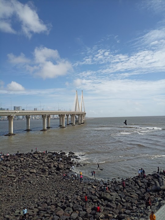 Sea Link View Point