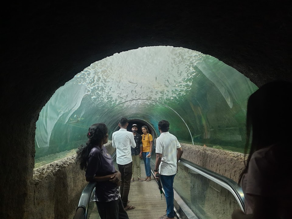 Underwater Tunnel Aquarium