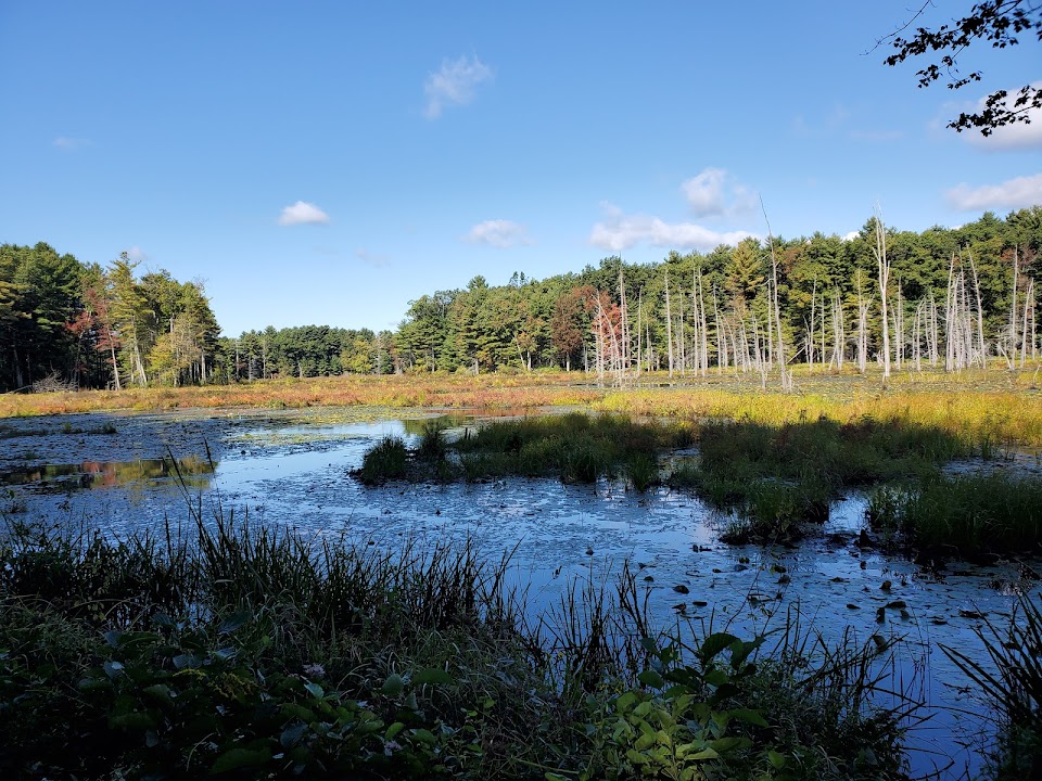 Assabet River National Wildlife Refuge