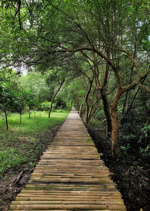 Mangrove Ecotourism Centre PIK