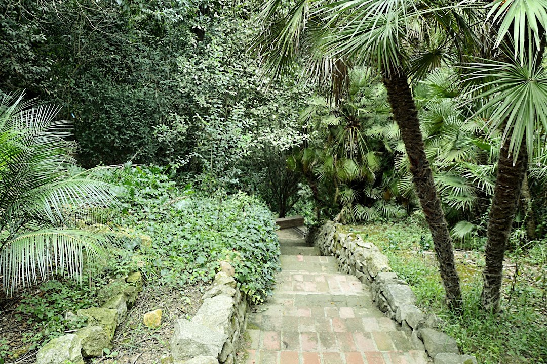 Jardi Botanic Historic