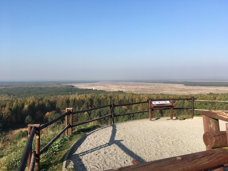 Punkt Widokowy Pustyni Błędowskiej (Czubatka)