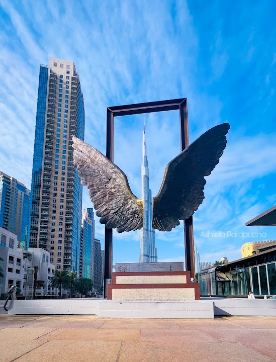 Wings of Mexico