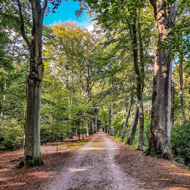 Peerdsbos