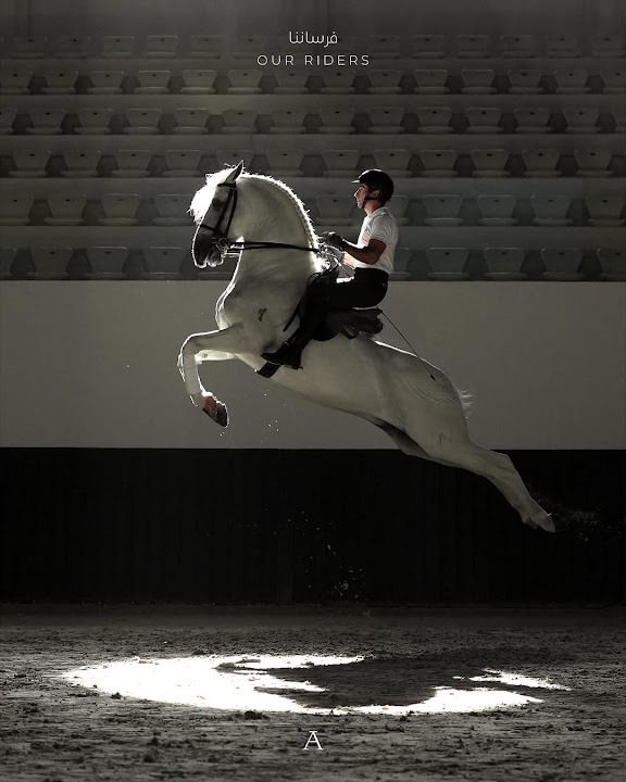 ADREA - Abu Dhabi Royal Equestrian Arts LLC - أبوظبي للفنون الفروسية الأميرية