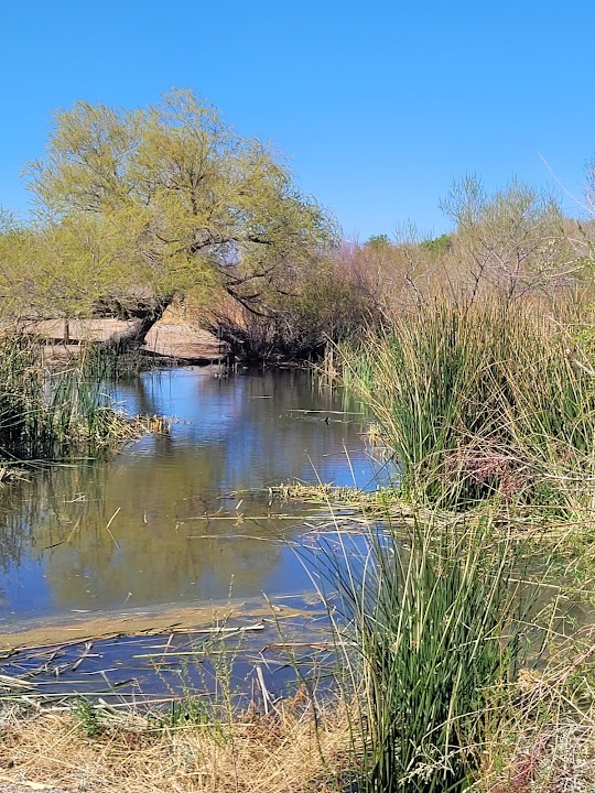 Wetlands Park Nature Center