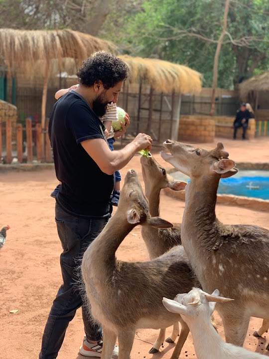 Giza Zoo