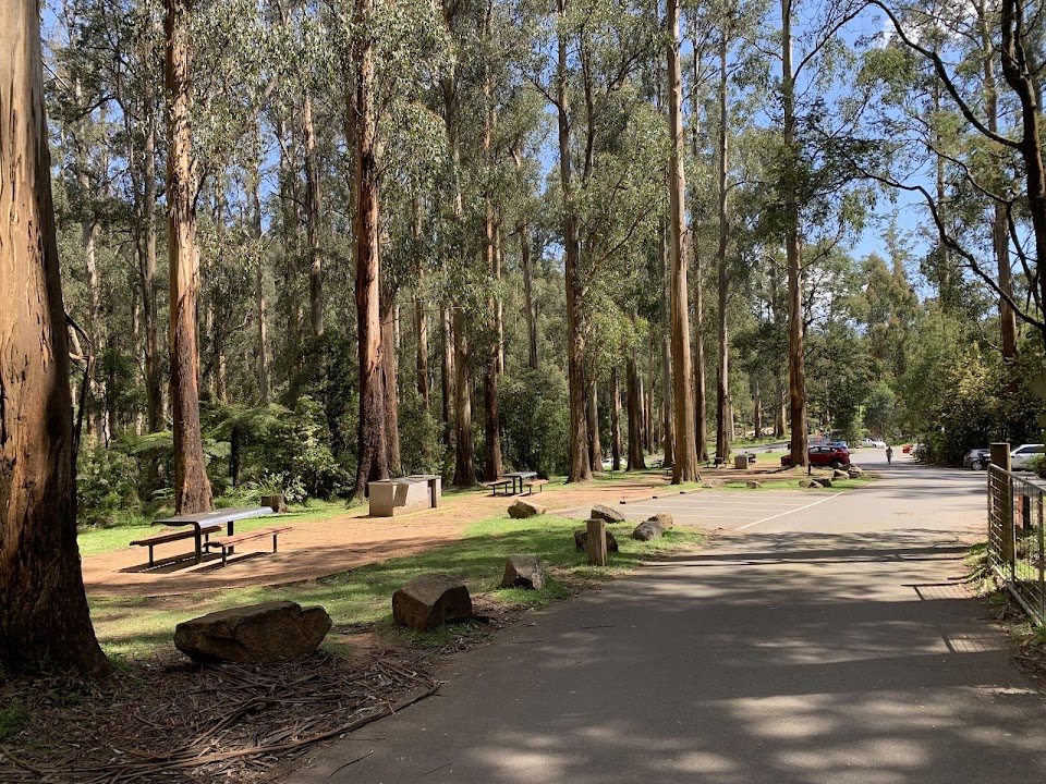 Grants Picnic Ground, Dandenong Ranges National Park