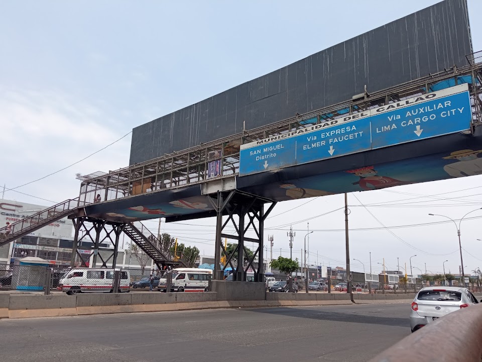 Puente Aduana