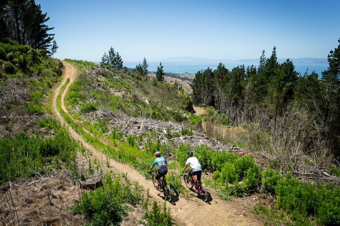 Fourforty Mountain Bike Park
