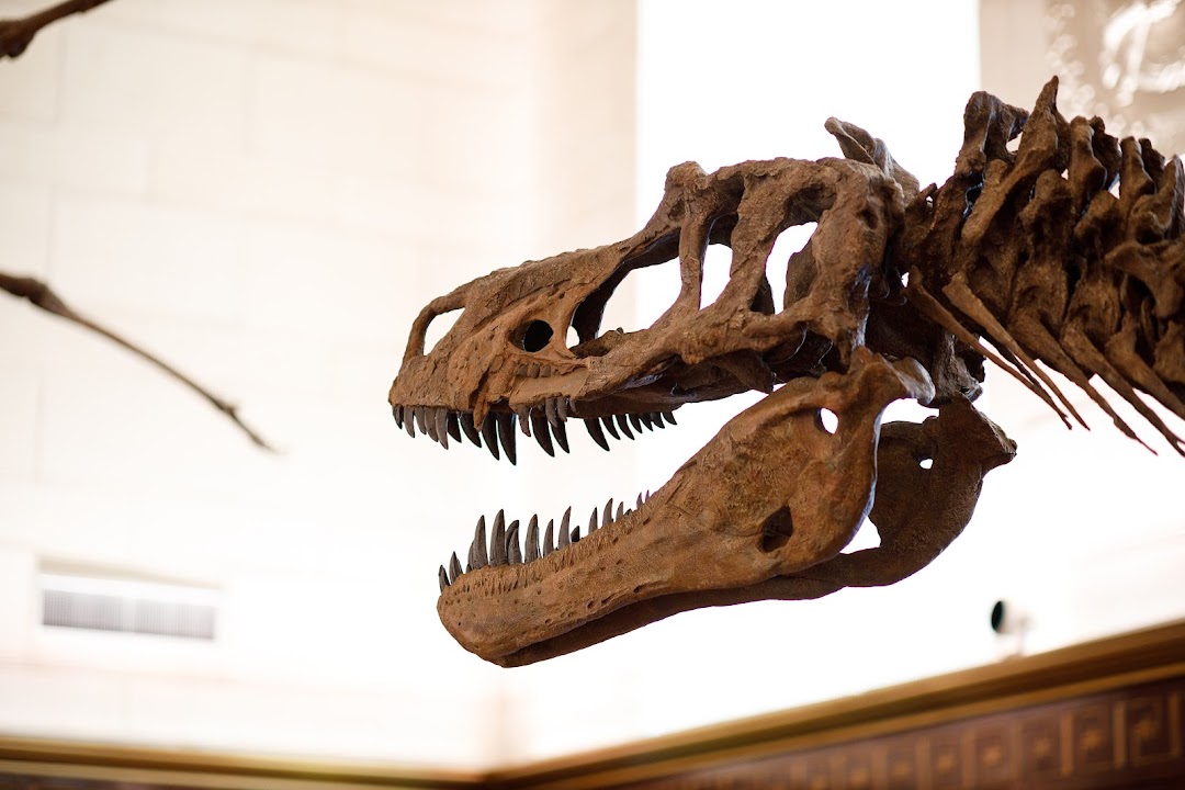Texas Science & Natural History Museum
