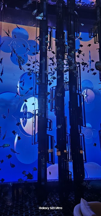 A.R. Exotics Aquarium