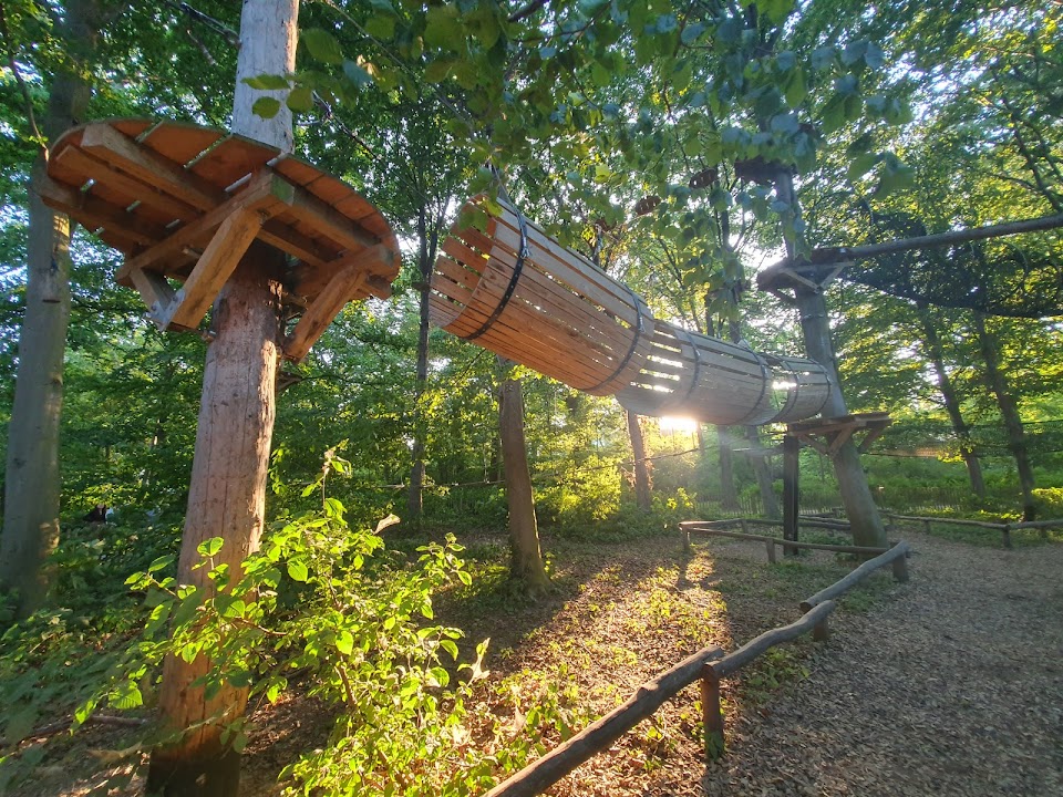 GoMonkey Forest Copenhagen