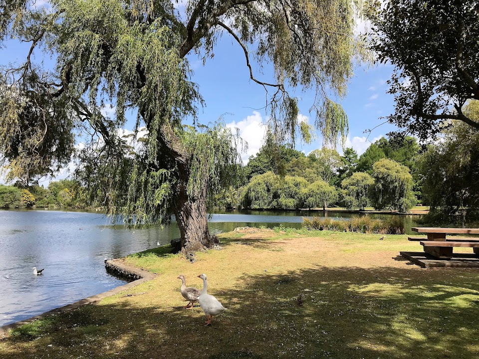 Western Springs Lakeside Park