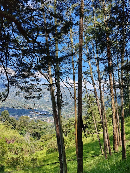 Vereda Montañita