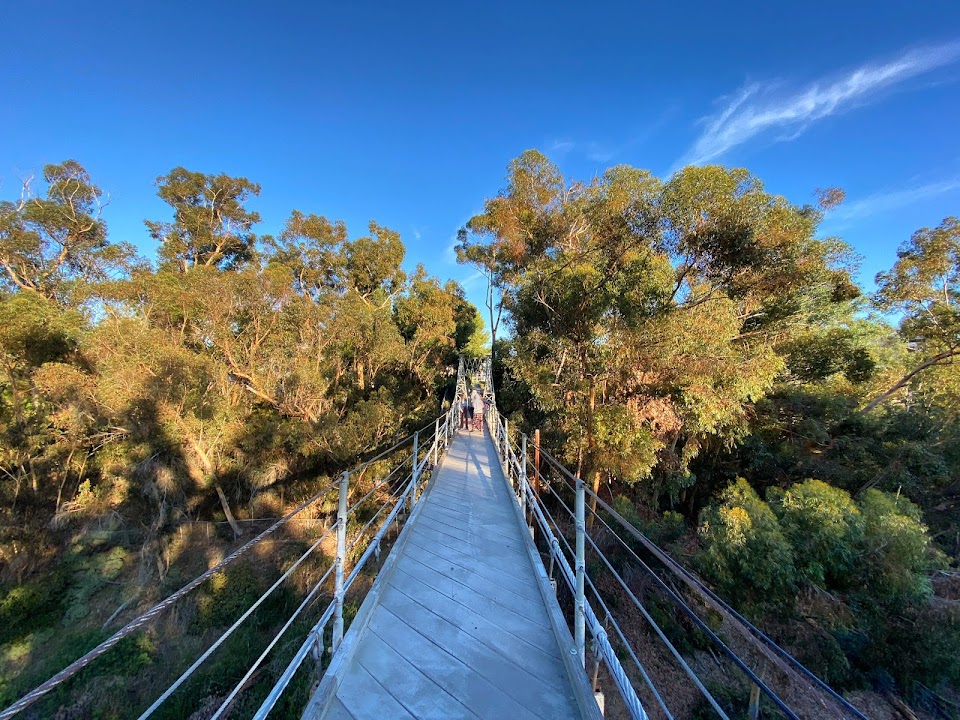 Spruce Street Suspension Bridge — San Diego experience