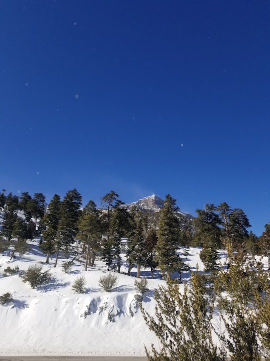 Deer Creek Picnic Area