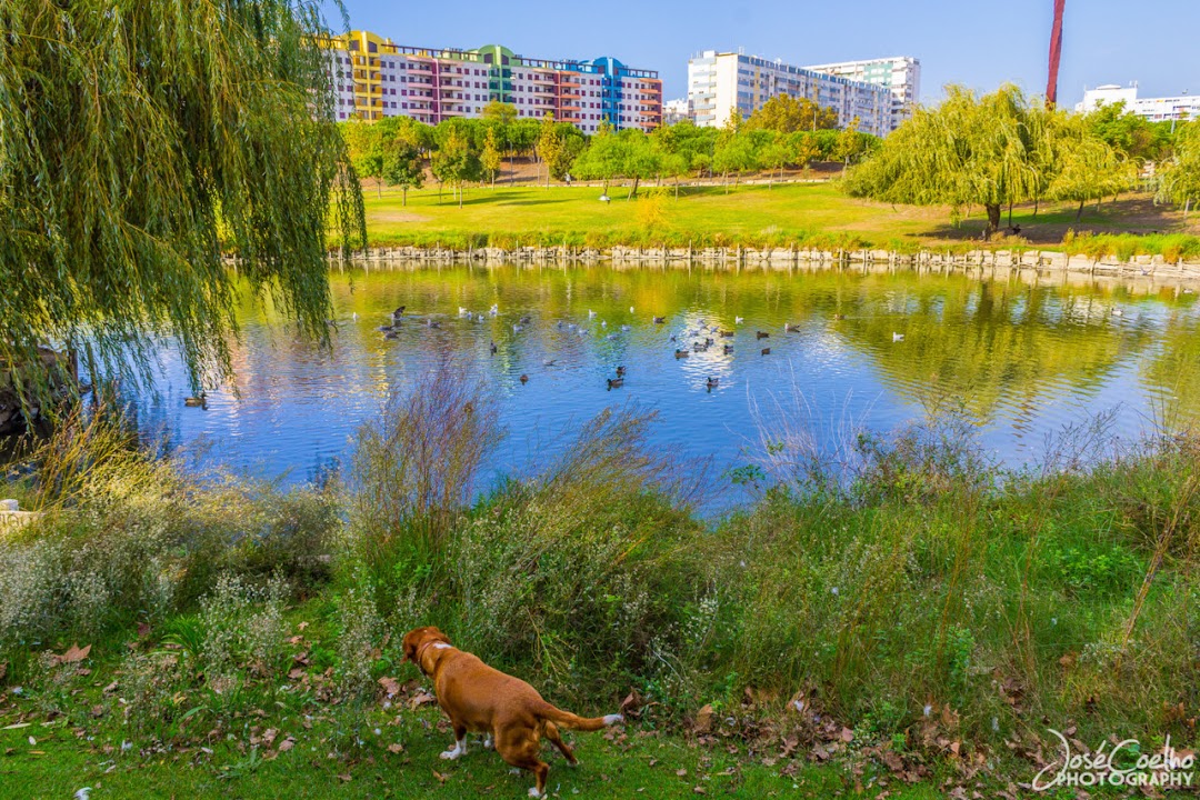 Parque da Paz