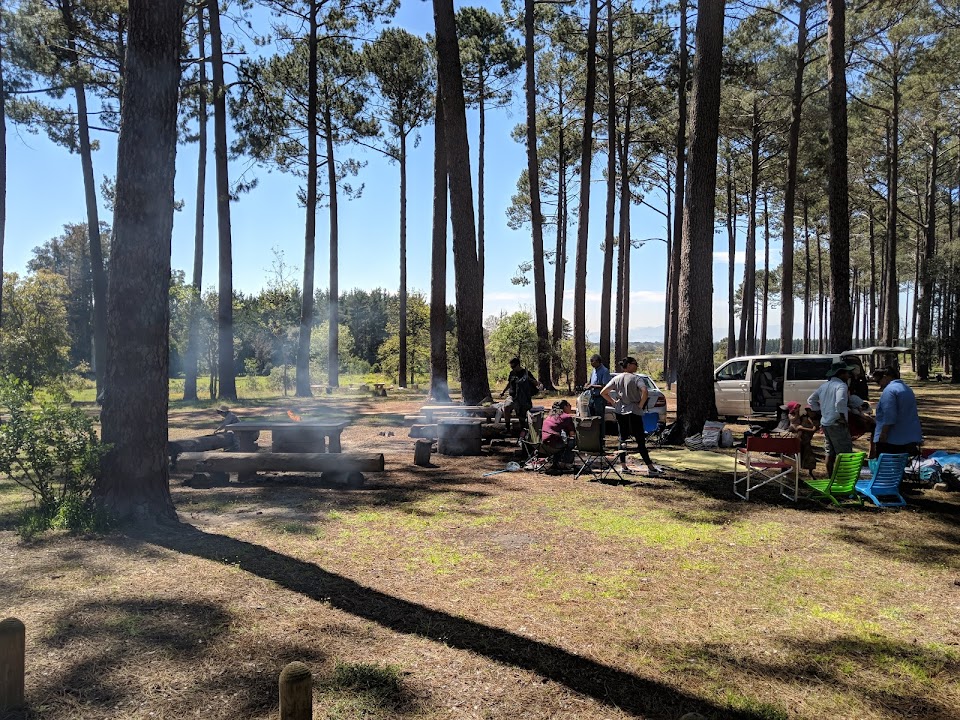 Tokai Forest Braai And Picnic Area