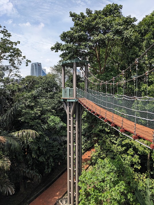 Bukit Nanas Forest Reserve