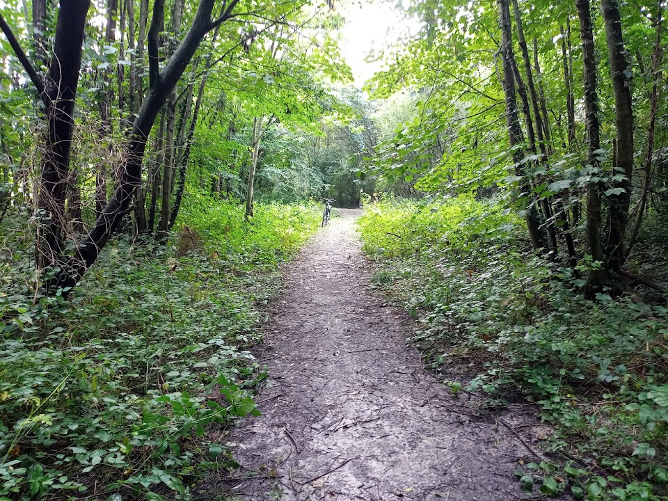 Polderbos Duivekeete
