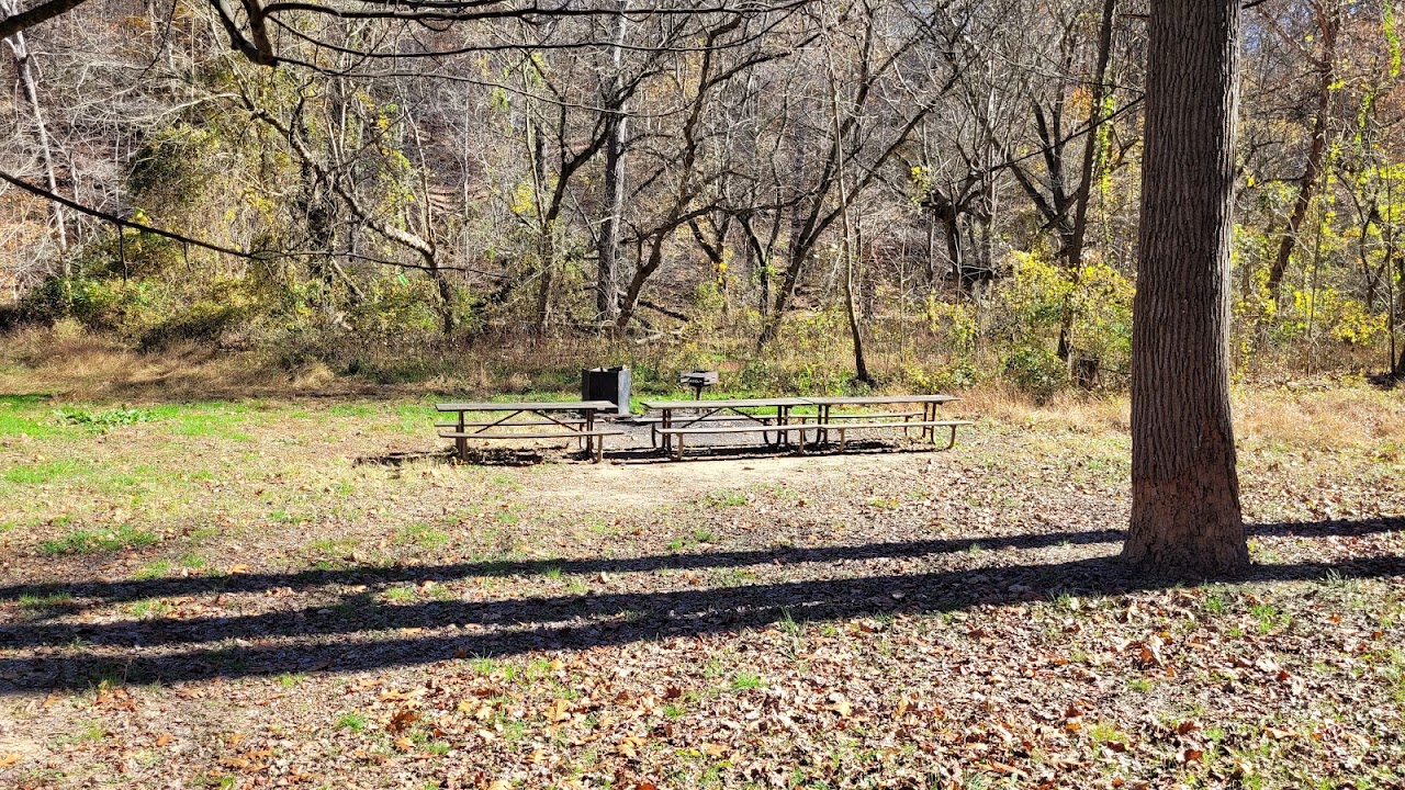 Picnic Grove #10