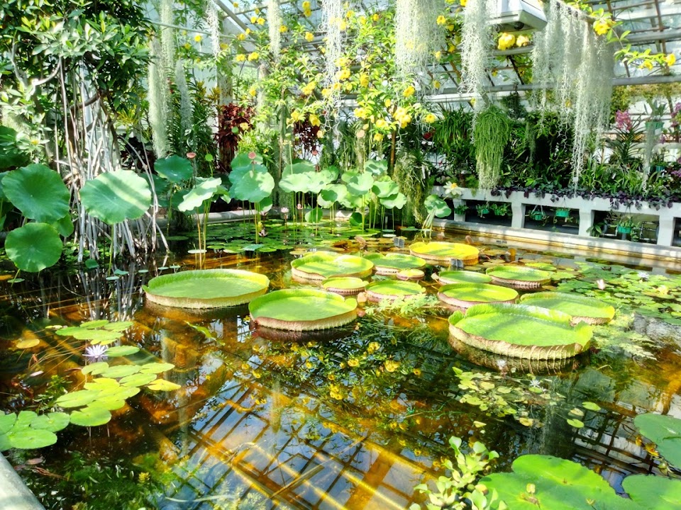 Botanical Garden of the Jagiellonian University