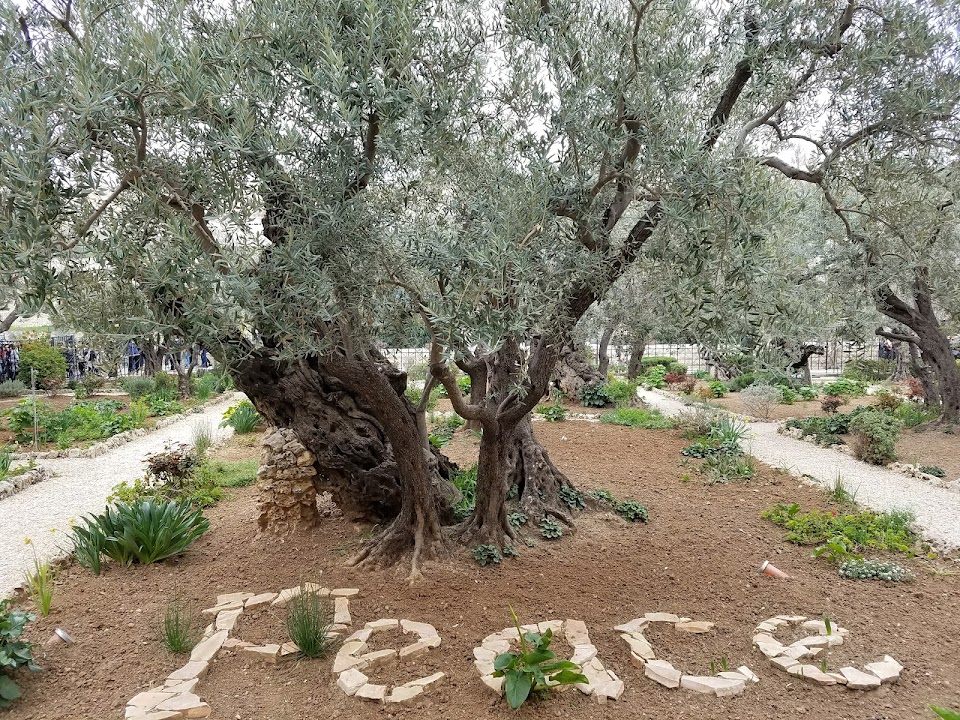 Gethsemane