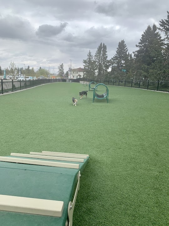 CFB Currie Dog Park