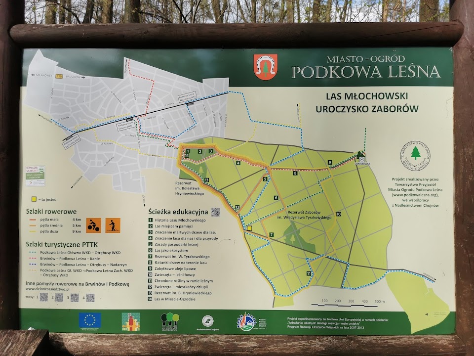 Las Młochowski