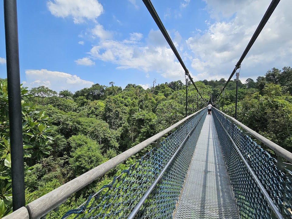 MacRitchie Nature Trail